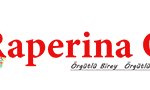 logo 272×90-min