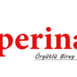 logo site icin 544×180