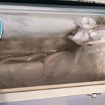 raw_cemilenin-annesi-cansiz-bedenini-koynumda-yatirdim-ellerine-kina-surdum-dondurucuya-koydum_240860553