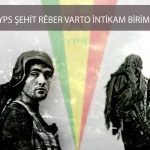 sehit reber varto intikam birimi eylem3